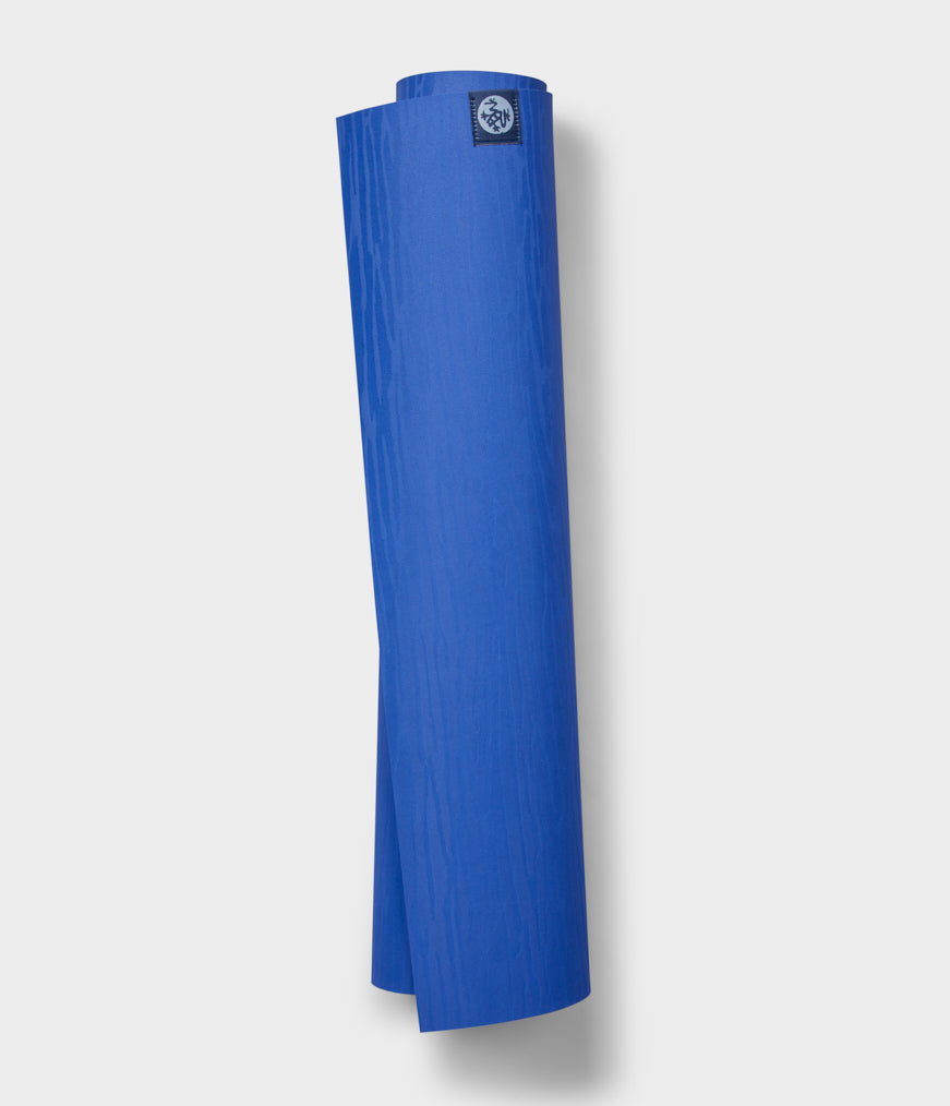 Blue Toad Midnight